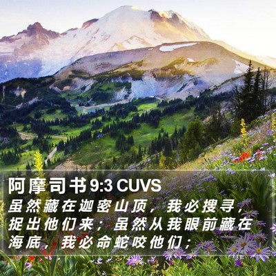 阿 摩 司 书 9:3 CUVS Bible Verse Image
