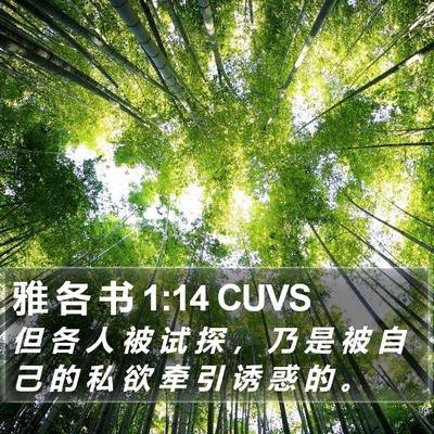 雅 各 书 1:14 CUVS Bible Verse Image