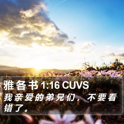 雅 各 书 1:16 CUVS Bible Verse Image