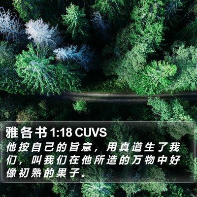 雅 各 书 1:18 CUVS Bible Verse Image