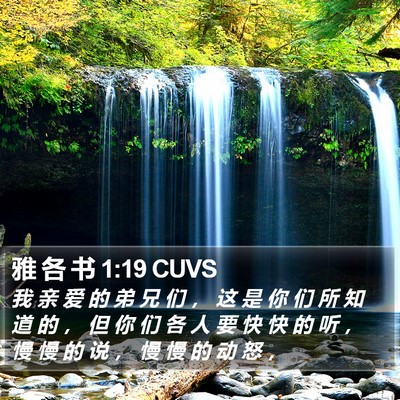 雅 各 书 1:19 CUVS Bible Verse Image