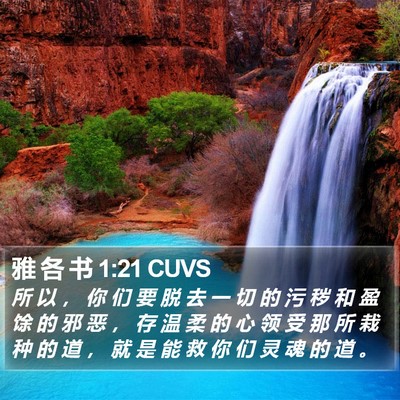 雅 各 书 1:21 CUVS Bible Verse Image