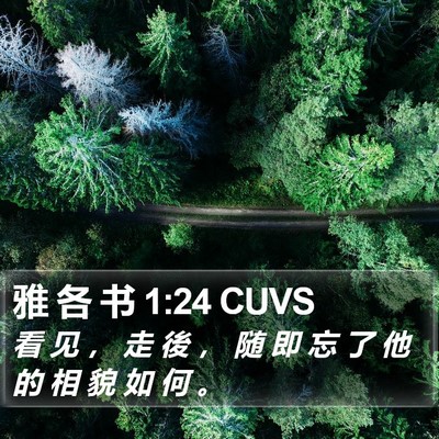 雅 各 书 1:24 CUVS Bible Verse Image