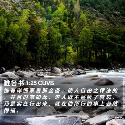 雅 各 书 1:25 CUVS Bible Verse Image
