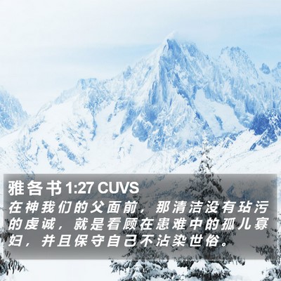 雅 各 书 1:27 CUVS Bible Verse Image