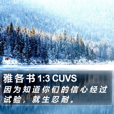 雅 各 书 1:3 CUVS Bible Verse Image