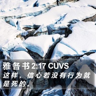雅 各 书 2:17 CUVS Bible Verse Image
