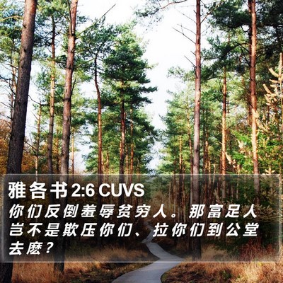 雅 各 书 2:6 CUVS Bible Verse Image
