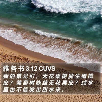 雅 各 书 3:12 CUVS Bible Verse Image