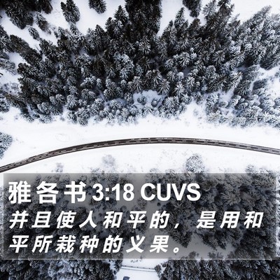 雅 各 书 3:18 CUVS Bible Verse Image