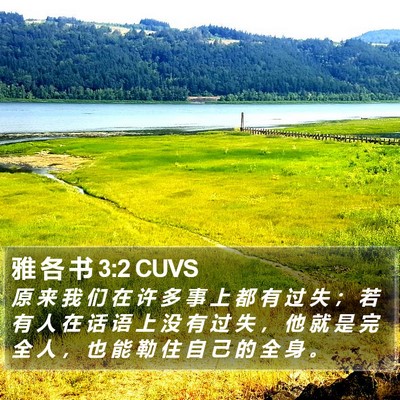 雅 各 书 3:2 CUVS Bible Verse Image