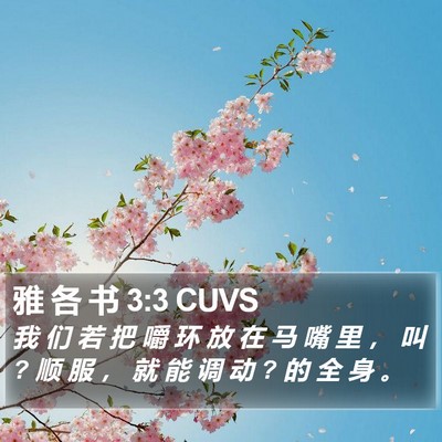 雅 各 书 3:3 CUVS Bible Verse Image