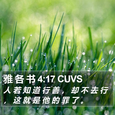 雅 各 书 4:17 CUVS Bible Verse Image