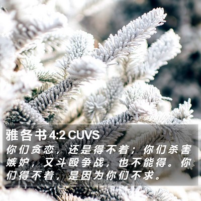 雅 各 书 4:2 CUVS Bible Verse Image