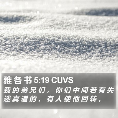 雅 各 书 5:19 CUVS Bible Verse Image