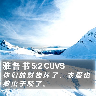 雅 各 书 5:2 CUVS Bible Verse Image