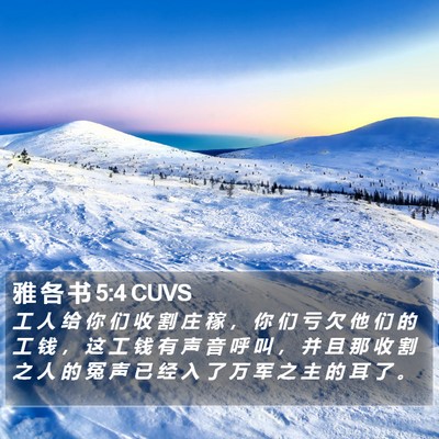 雅 各 书 5:4 CUVS Bible Verse Image