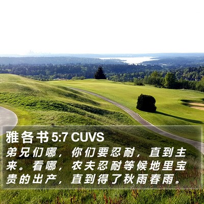 雅 各 书 5:7 CUVS Bible Verse Image