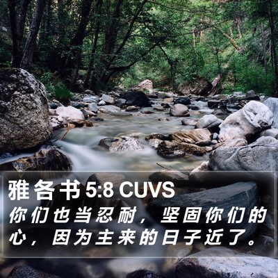 雅 各 书 5:8 CUVS Bible Verse Image