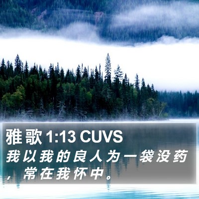 雅 歌 1:13 CUVS Bible Verse Image