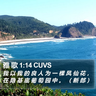 雅 歌 1:14 CUVS Bible Verse Image
