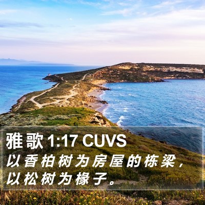 雅 歌 1:17 CUVS Bible Verse Image