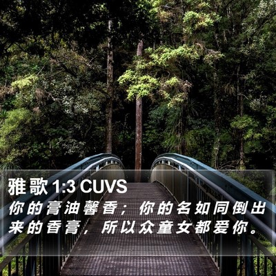 雅 歌 1:3 CUVS Bible Verse Image