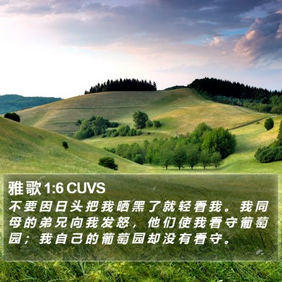 雅 歌 1:6 CUVS Bible Verse Image