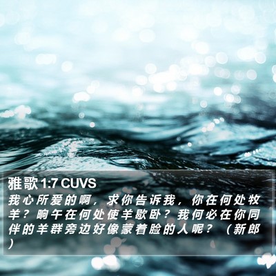 雅 歌 1:7 CUVS Bible Verse Image