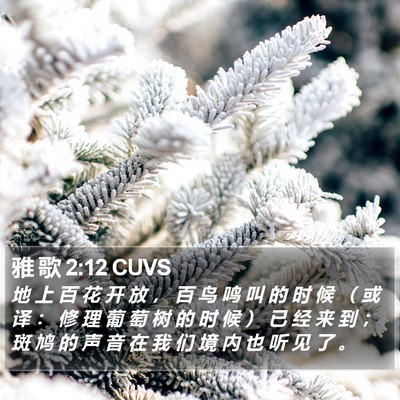 雅 歌 2:12 CUVS Bible Verse Image