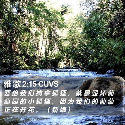 雅 歌 2:15 CUVS Bible Verse Image