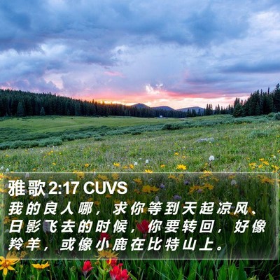 雅 歌 2:17 CUVS Bible Verse Image