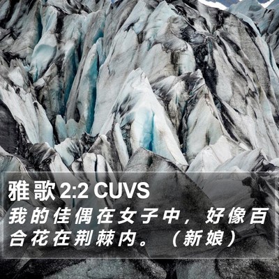 雅 歌 2:2 CUVS Bible Verse Image