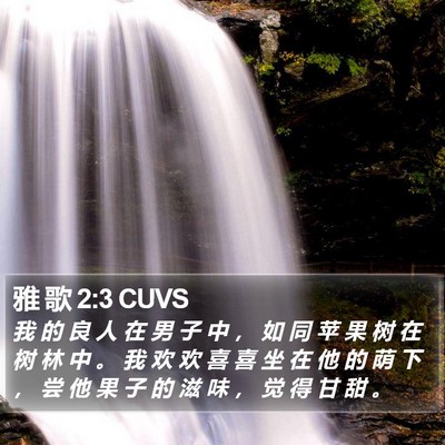 雅 歌 2:3 CUVS Bible Verse Image