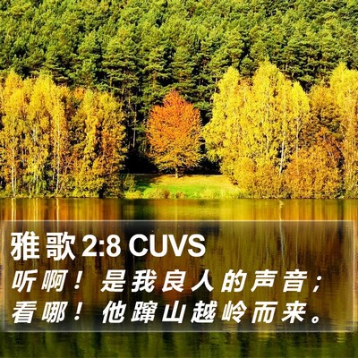 雅 歌 2:8 CUVS Bible Verse Image