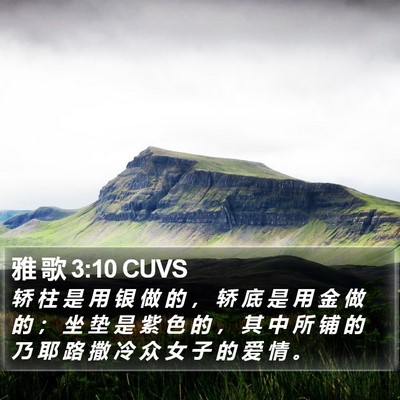 雅 歌 3:10 CUVS Bible Verse Image