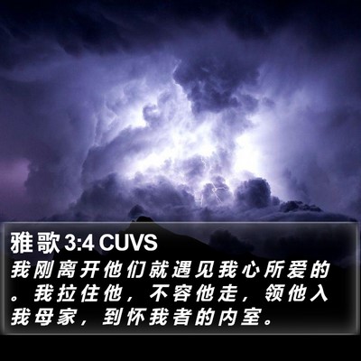 雅 歌 3:4 CUVS Bible Verse Image
