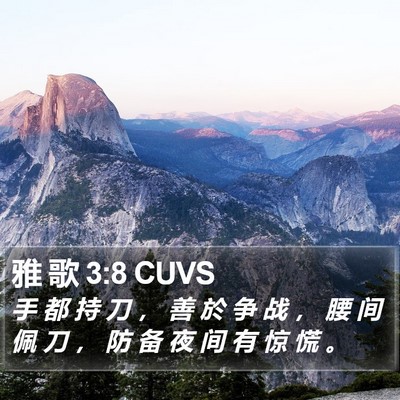 雅 歌 3:8 CUVS Bible Verse Image