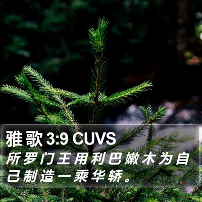 雅 歌 3:9 CUVS Bible Verse Image