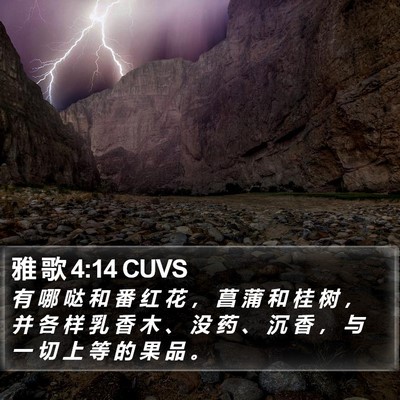 雅 歌 4:14 CUVS Bible Verse Image