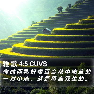 雅 歌 4:5 CUVS Bible Verse Image
