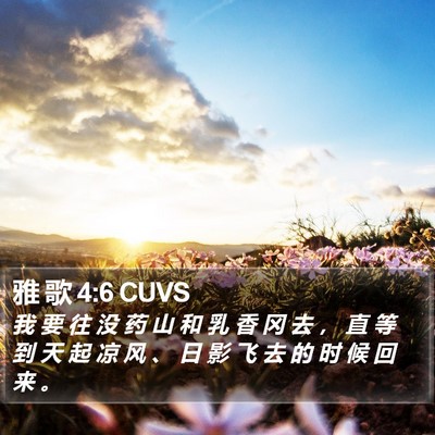 雅 歌 4:6 CUVS Bible Verse Image