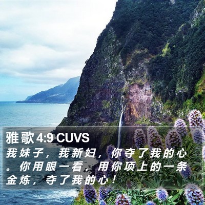 雅 歌 4:9 CUVS Bible Verse Image