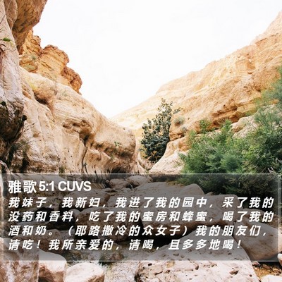 雅 歌 5:1 CUVS Bible Verse Image