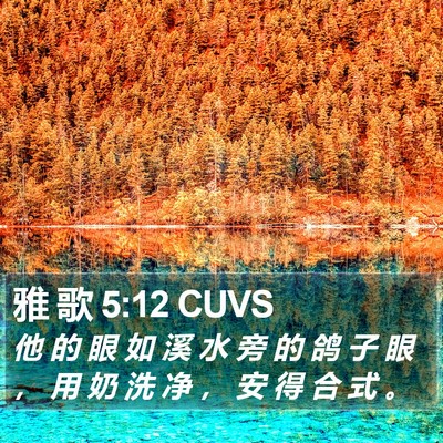 雅 歌 5:12 CUVS Bible Verse Image