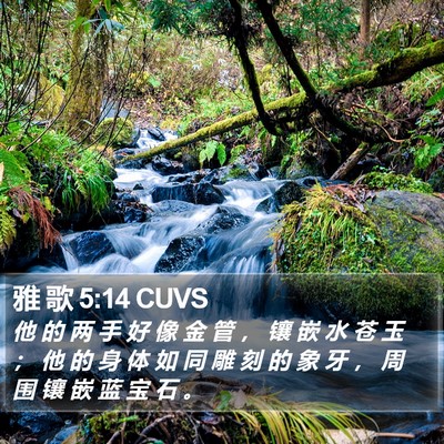 雅 歌 5:14 CUVS Bible Verse Image