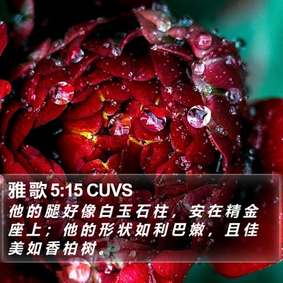 雅 歌 5:15 CUVS Bible Verse Image