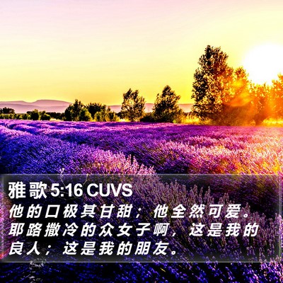 雅 歌 5:16 CUVS Bible Verse Image