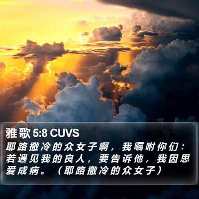 雅 歌 5:8 CUVS Bible Verse Image