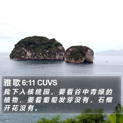 雅 歌 6:11 CUVS Bible Verse Image